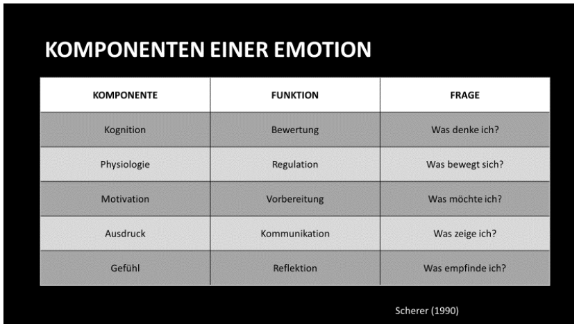 5 Komponenten von Emotionen
